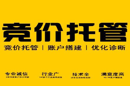 SEM托管代运营案例：提升转化率策略